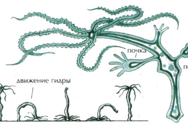 Kraken market ссылка тор